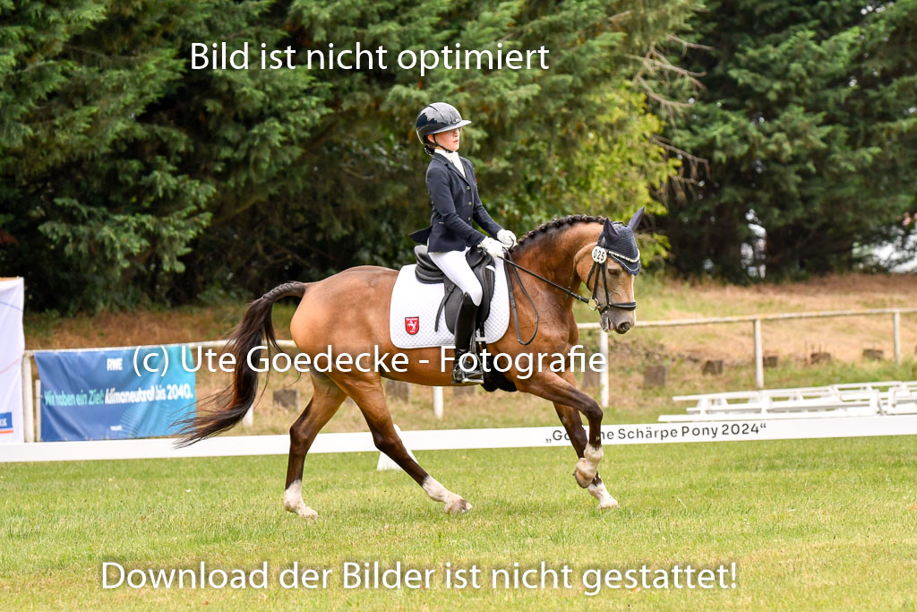 Goldene Schärpe Ponys in Hohenberg Krusemark 2024 | 12072024 Dressur _0973 