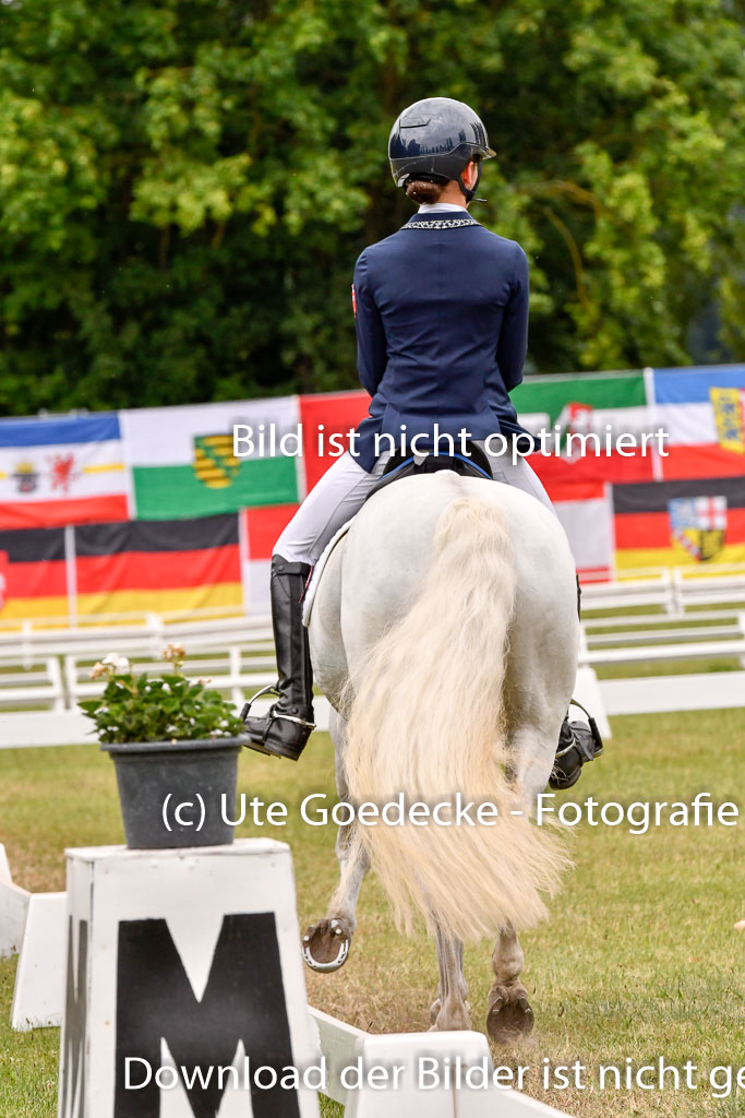 Goldene Schärpe Ponys in Hohenberg Krusemark 2024 | 12072024 Dressur _0974 