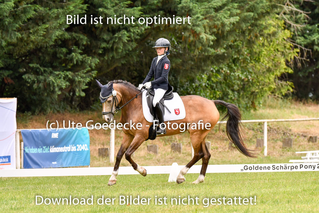 Goldene Schärpe Ponys in Hohenberg Krusemark 2024 | 12072024 Dressur _0976