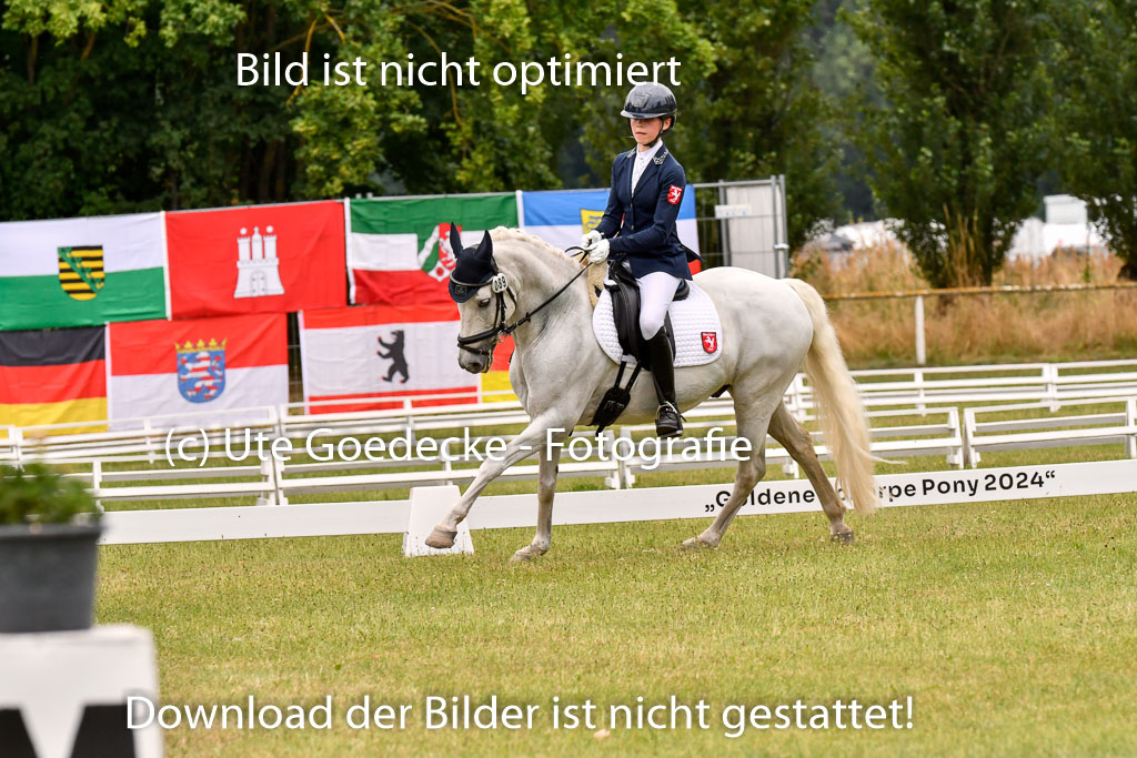 Goldene Schärpe Ponys in Hohenberg Krusemark 2024 | 12072024 Dressur _0977 