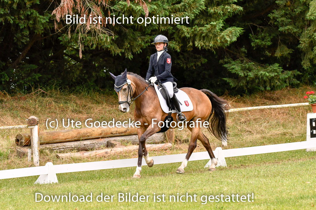 Goldene Schärpe Ponys in Hohenberg Krusemark 2024 | 12072024 Dressur _0980 