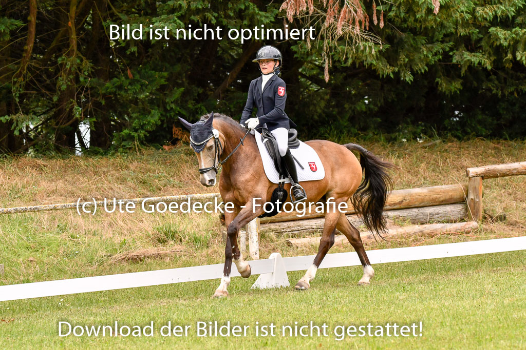 Goldene Schärpe Ponys in Hohenberg Krusemark 2024 | 12072024 Dressur _0981 