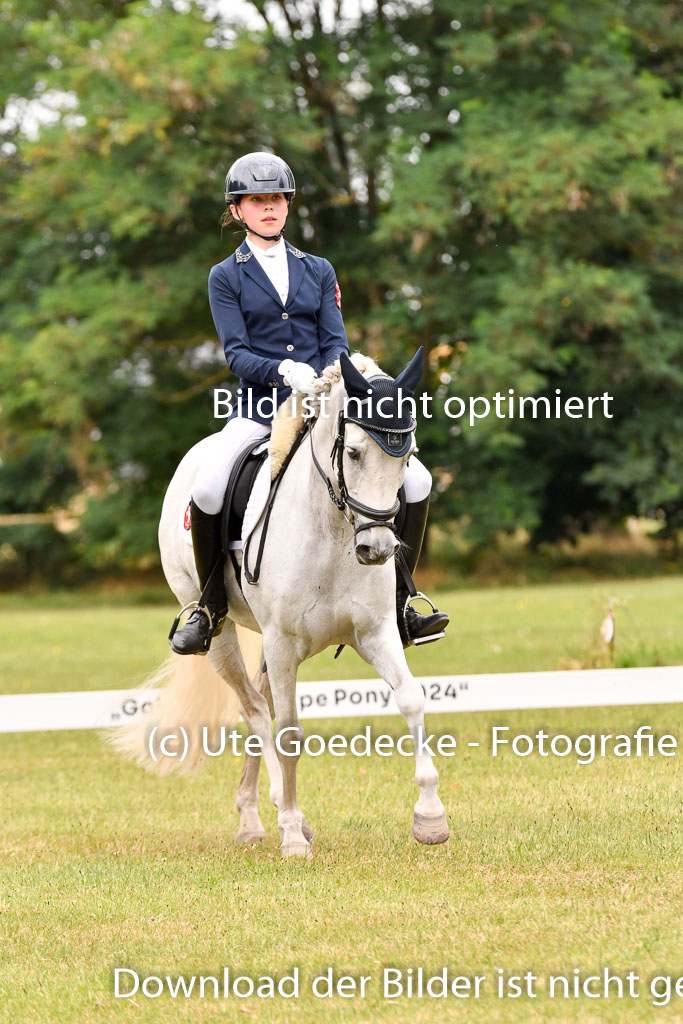 Goldene Schärpe Ponys in Hohenberg Krusemark 2024 | 12072024 Dressur _0984