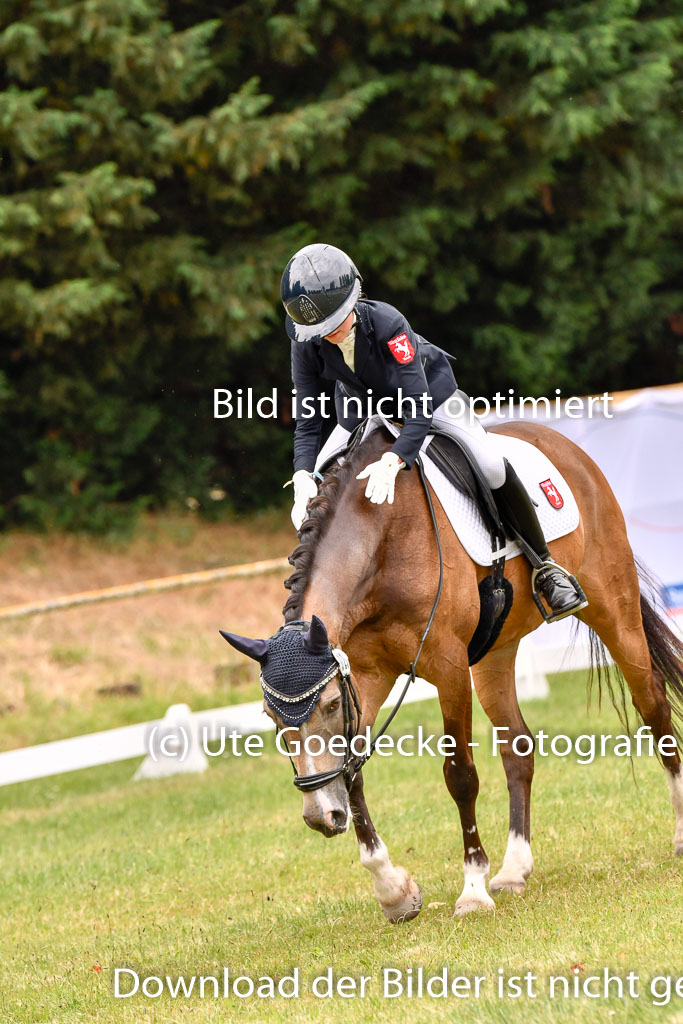 Goldene Schärpe Ponys in Hohenberg Krusemark 2024 | 12072024 Dressur _0985