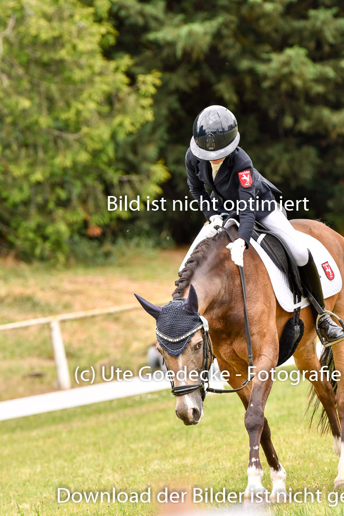 Goldene Schärpe Ponys in Hohenberg Krusemark 2024 | 12072024 Dressur _0986