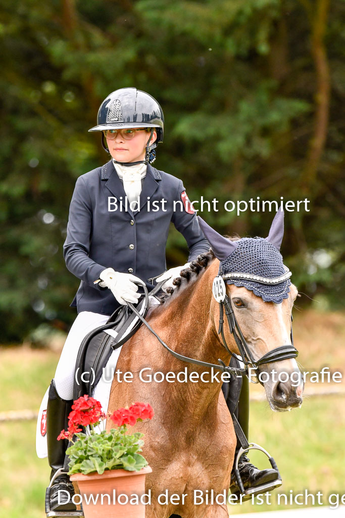 Goldene Schärpe Ponys in Hohenberg Krusemark 2024 | 12072024 Dressur _0989 