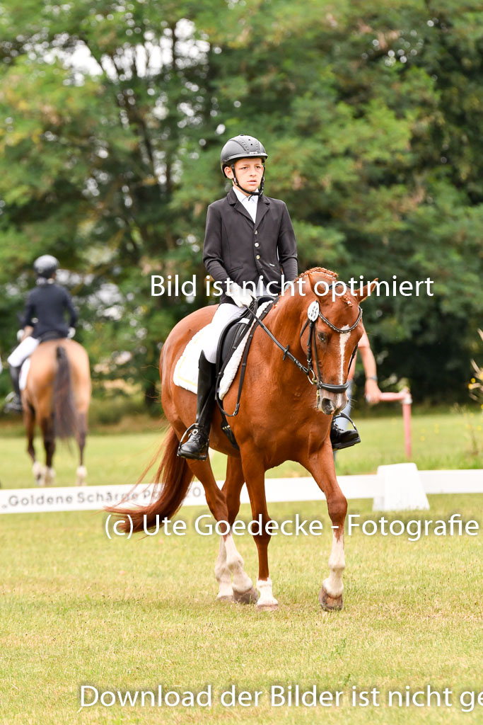 Goldene Schärpe Ponys in Hohenberg Krusemark 2024 | 12072024 Dressur _0990 