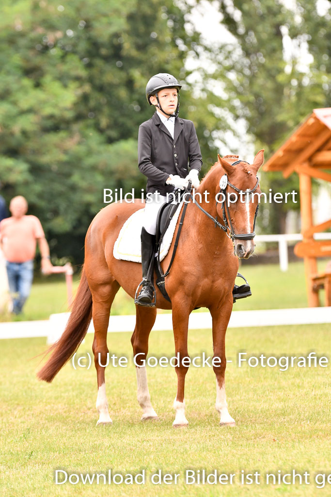 Goldene Schärpe Ponys in Hohenberg Krusemark 2024 | 12072024 Dressur _0991