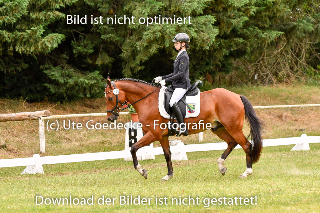Goldene Schärpe Ponys in Hohenberg Krusemark 2024 | 12072024 Dressur _0994