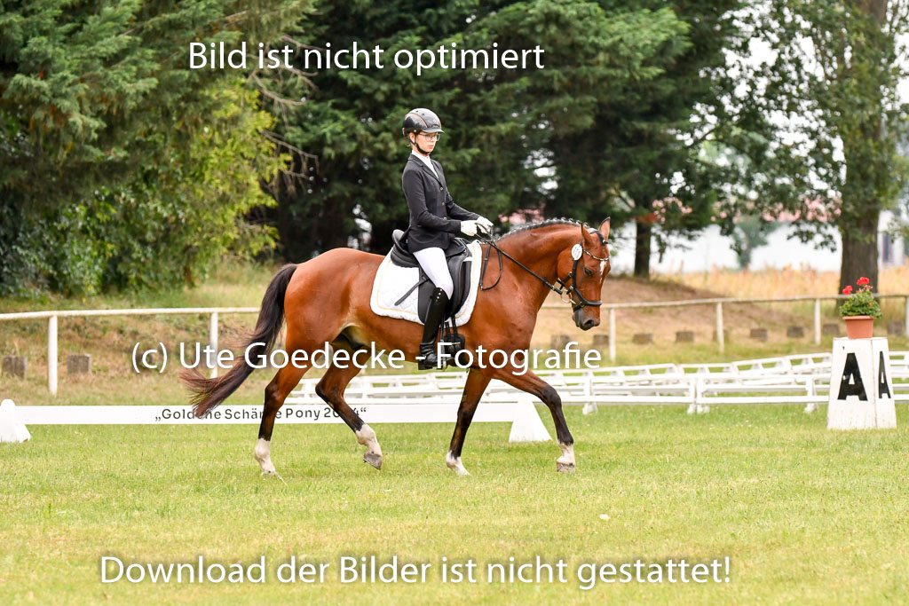 Goldene Schärpe Ponys in Hohenberg Krusemark 2024 | 12072024 Dressur _0996