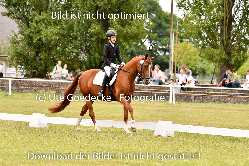 Goldene Schärpe Ponys in Hohenberg Krusemark 2024 | 12072024 Dressur _0997