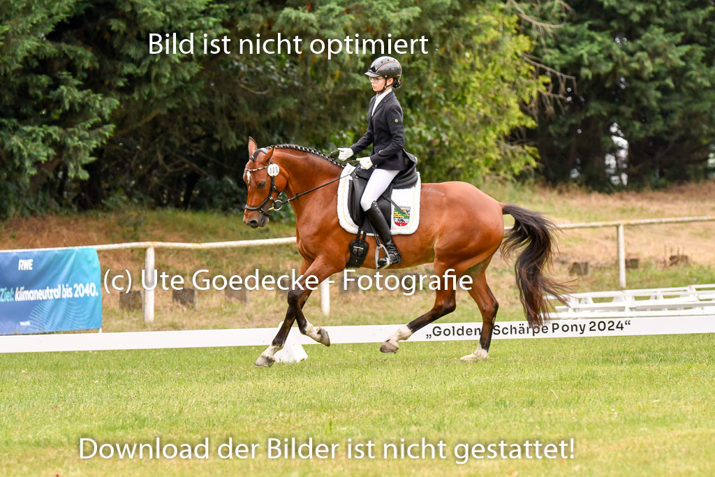 Goldene Schärpe Ponys in Hohenberg Krusemark 2024 | 12072024 Dressur _0998 