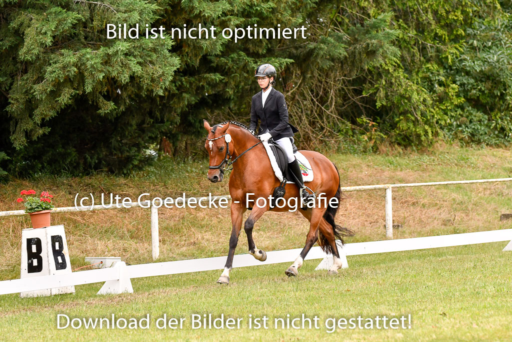 Goldene Schärpe Ponys in Hohenberg Krusemark 2024 | 12072024 Dressur _0999 