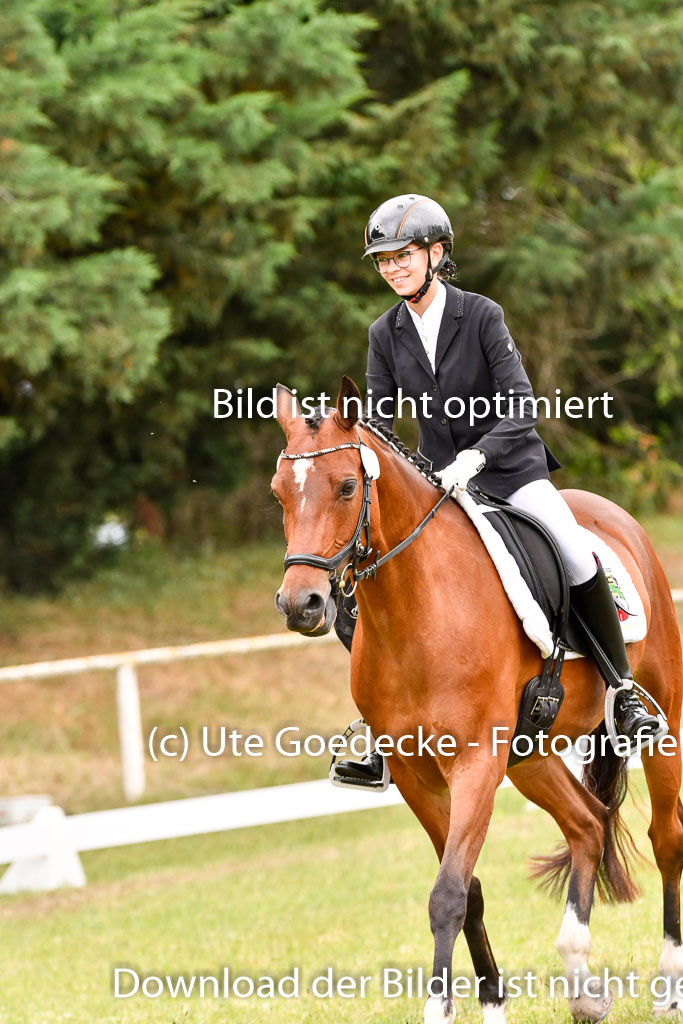 Goldene Schärpe Ponys in Hohenberg Krusemark 2024 | 12072024 Dressur _1005 