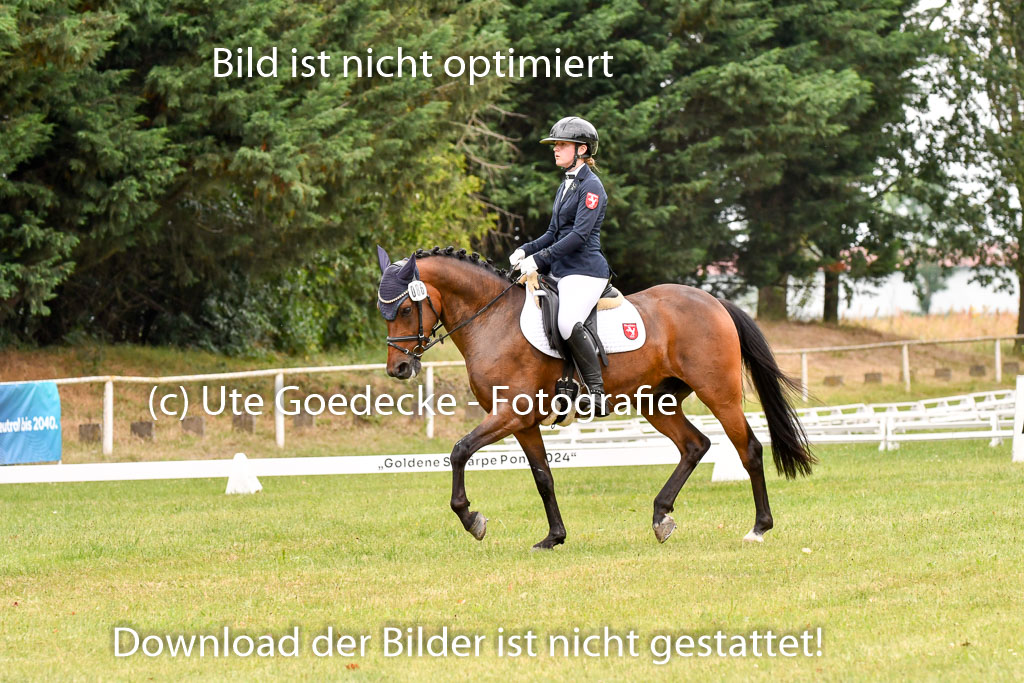 Goldene Schärpe Ponys in Hohenberg Krusemark 2024 | 12072024 Dressur _1009