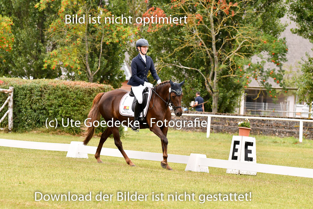 Goldene Schärpe Ponys in Hohenberg Krusemark 2024 | 12072024 Dressur _1011 