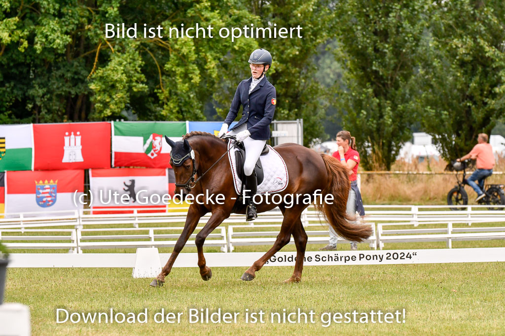Goldene Schärpe Ponys in Hohenberg Krusemark 2024 | 12072024 Dressur _1014