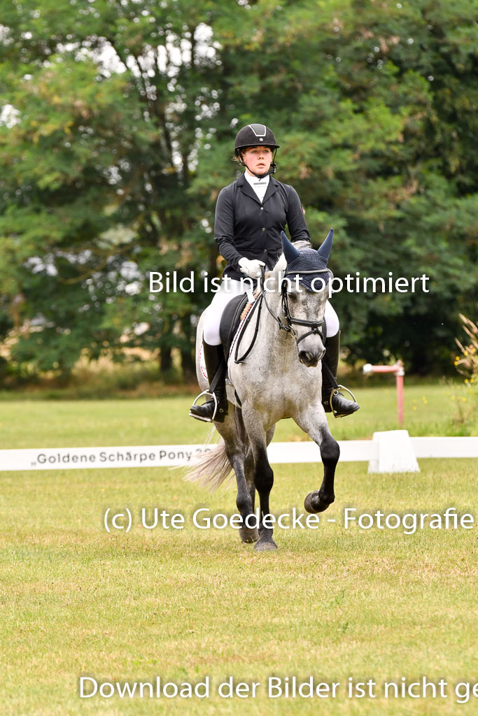 Goldene Schärpe Ponys in Hohenberg Krusemark 2024 | 12072024 Dressur _1019 