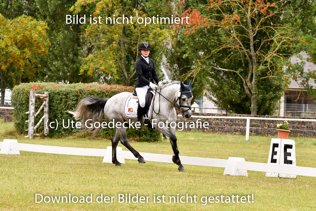 Goldene Schärpe Ponys in Hohenberg Krusemark 2024 | 12072024 Dressur _1020 