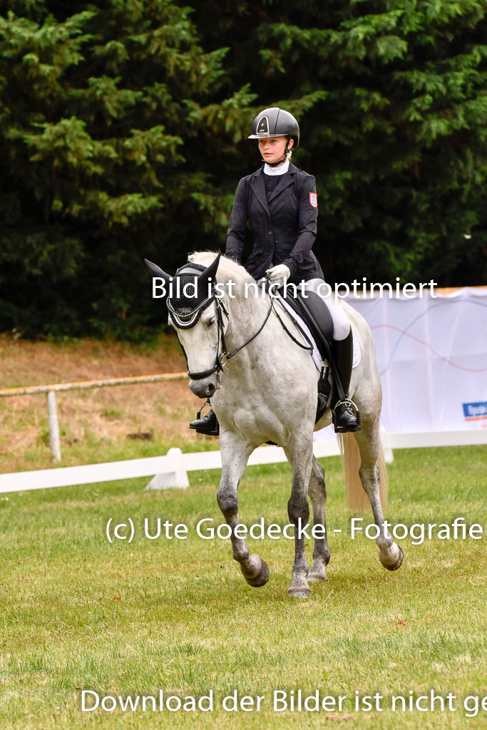 Goldene Schärpe Ponys in Hohenberg Krusemark 2024 | 12072024 Dressur _1021