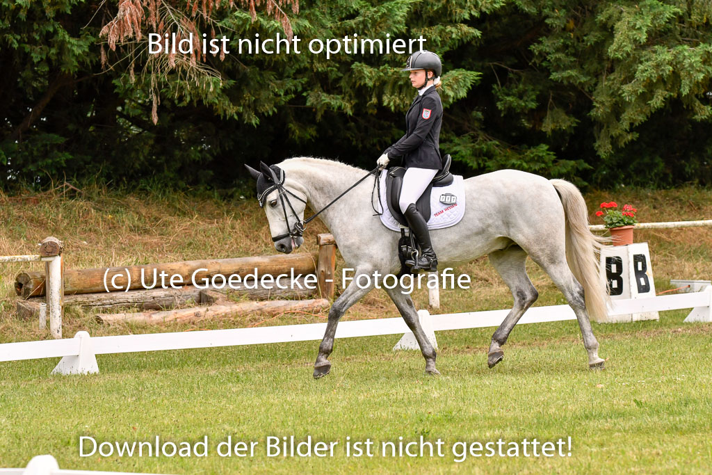 Goldene Schärpe Ponys in Hohenberg Krusemark 2024 | 12072024 Dressur _1023