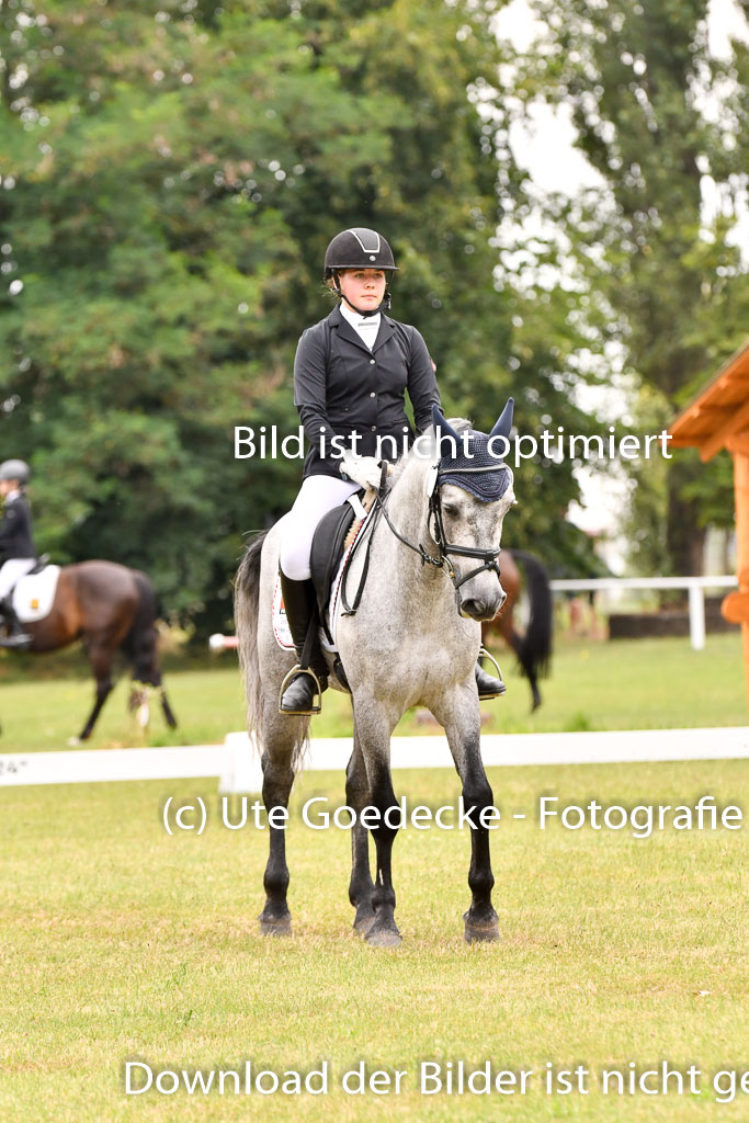 Goldene Schärpe Ponys in Hohenberg Krusemark 2024 | 12072024 Dressur _1024 