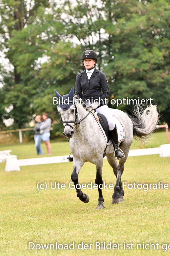 Goldene Schärpe Ponys in Hohenberg Krusemark 2024 | 12072024 Dressur _1025