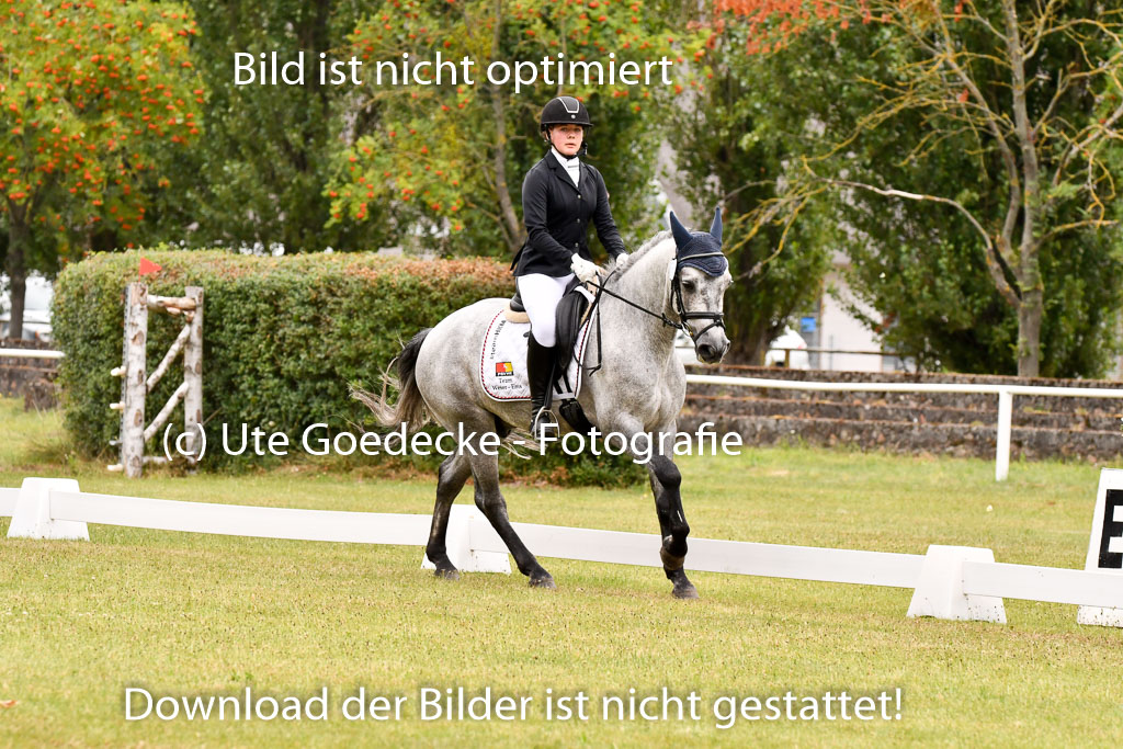 Goldene Schärpe Ponys in Hohenberg Krusemark 2024 | 12072024 Dressur _1029