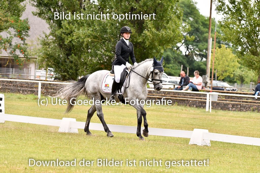 Goldene Schärpe Ponys in Hohenberg Krusemark 2024 | 12072024 Dressur _1031 