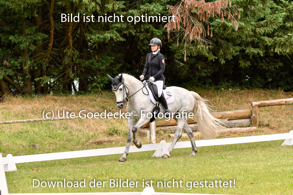 Goldene Schärpe Ponys in Hohenberg Krusemark 2024 | 12072024 Dressur _1032 