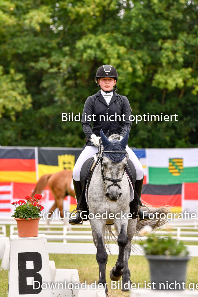 Goldene Schärpe Ponys in Hohenberg Krusemark 2024 | 12072024 Dressur _1036