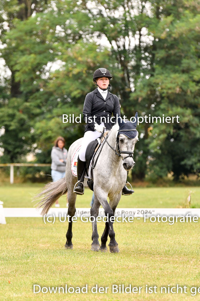 Goldene Schärpe Ponys in Hohenberg Krusemark 2024 | 12072024 Dressur _1038 