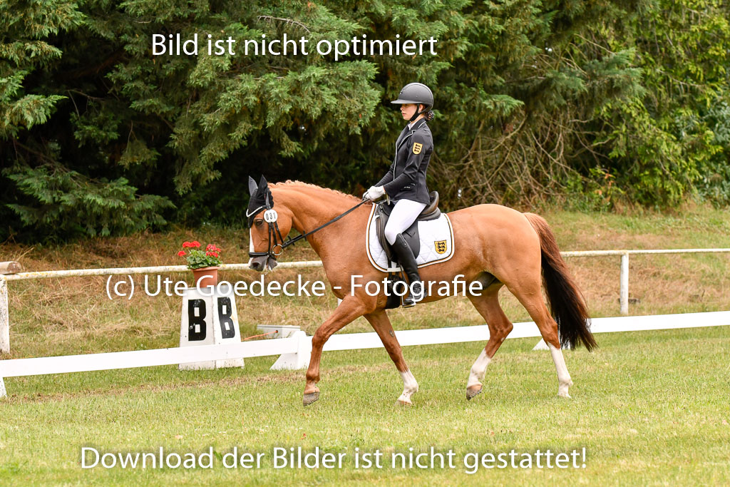 Goldene Schärpe Ponys in Hohenberg Krusemark 2024 | 12072024 Dressur _1039 