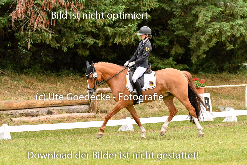 Goldene Schärpe Ponys in Hohenberg Krusemark 2024 | 12072024 Dressur _1040