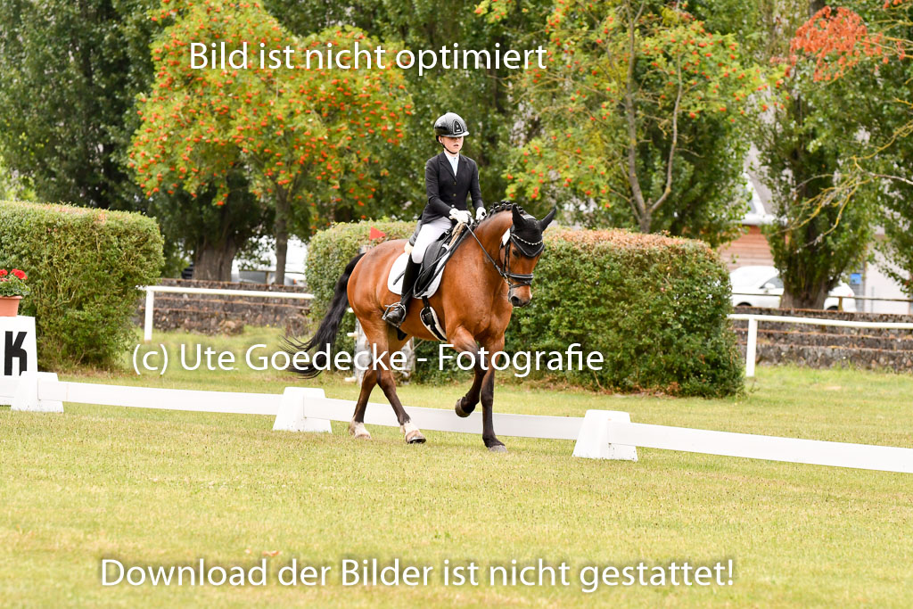 Goldene Schärpe Ponys in Hohenberg Krusemark 2024 | 12072024 Dressur _1041 