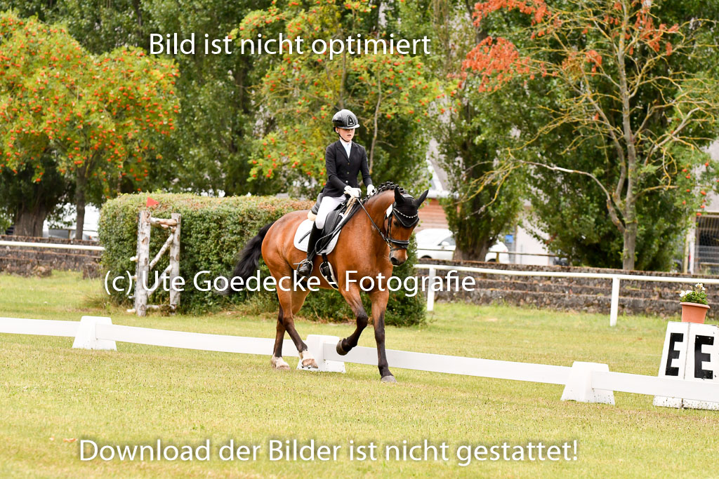 Goldene Schärpe Ponys in Hohenberg Krusemark 2024 | 12072024 Dressur _1042 