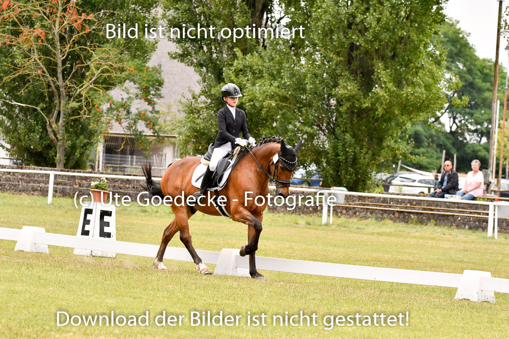 Goldene Schärpe Ponys in Hohenberg Krusemark 2024 | 12072024 Dressur _1043 