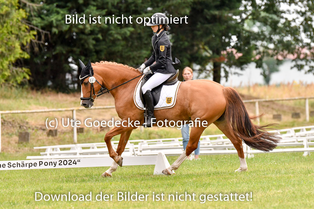 Goldene Schärpe Ponys in Hohenberg Krusemark 2024 | 12072024 Dressur _1046 