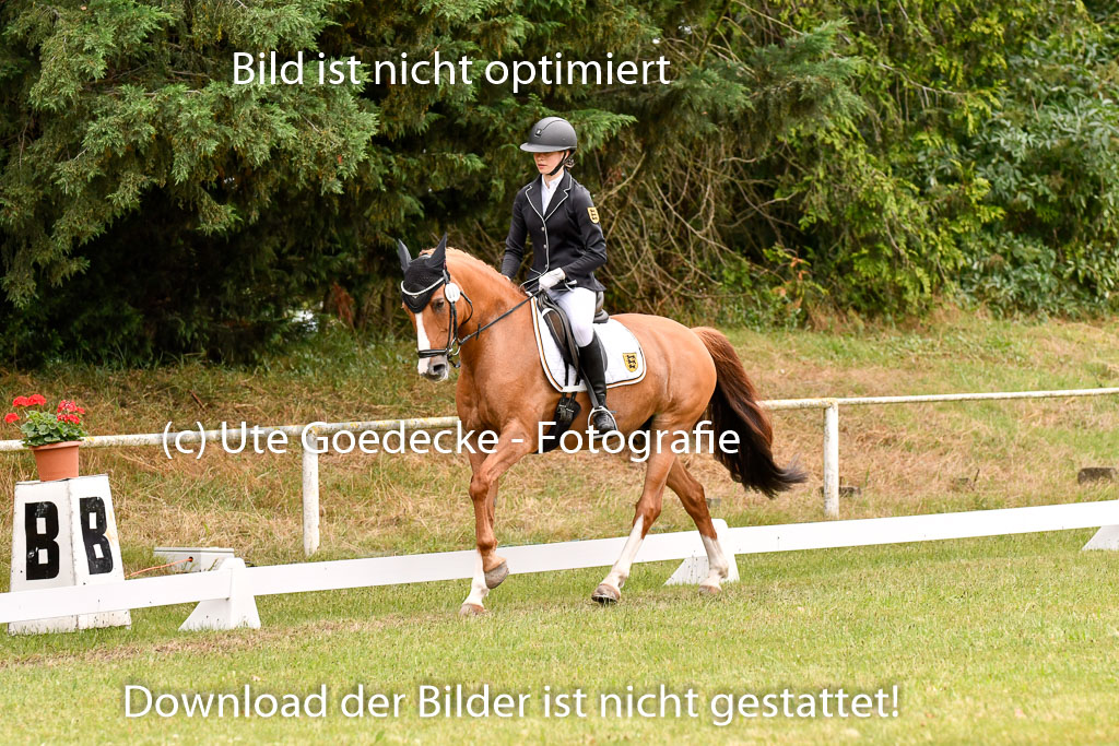 Goldene Schärpe Ponys in Hohenberg Krusemark 2024 | 12072024 Dressur _1048 