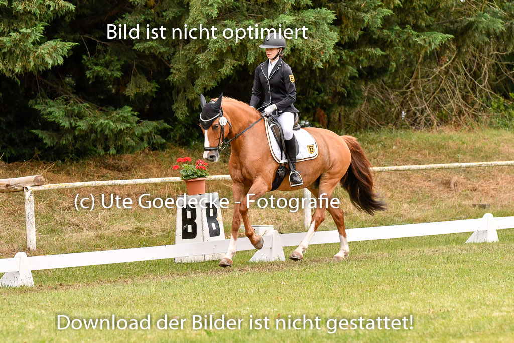 Goldene Schärpe Ponys in Hohenberg Krusemark 2024 | 12072024 Dressur _1049 