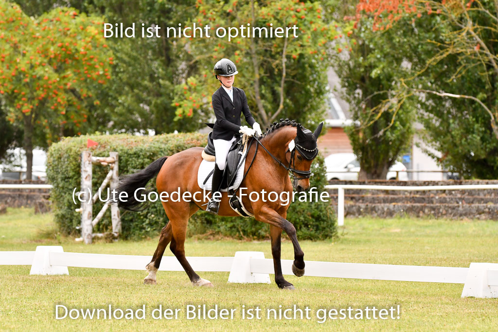 Goldene Schärpe Ponys in Hohenberg Krusemark 2024 | 12072024 Dressur _1053