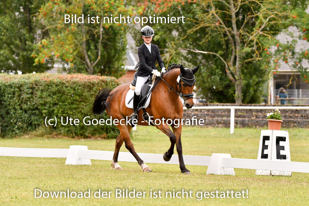 Goldene Schärpe Ponys in Hohenberg Krusemark 2024 | 12072024 Dressur _1054