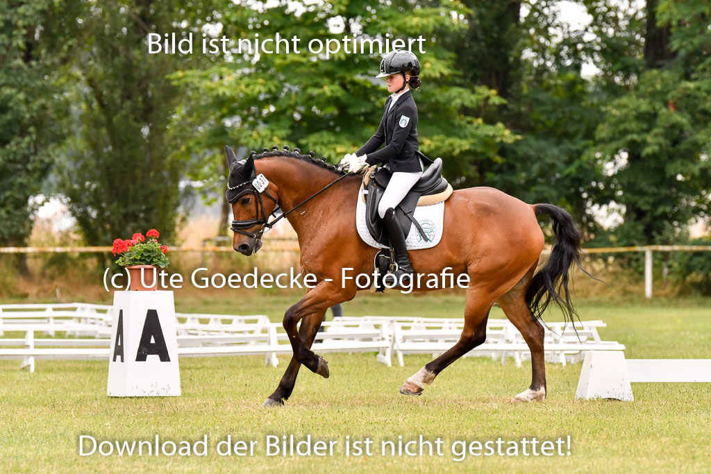 Goldene Schärpe Ponys in Hohenberg Krusemark 2024 | 12072024 Dressur _1055