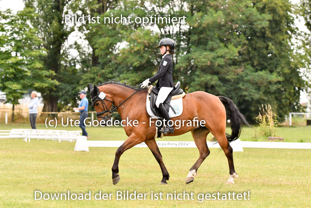 Goldene Schärpe Ponys in Hohenberg Krusemark 2024 | 12072024 Dressur _1058