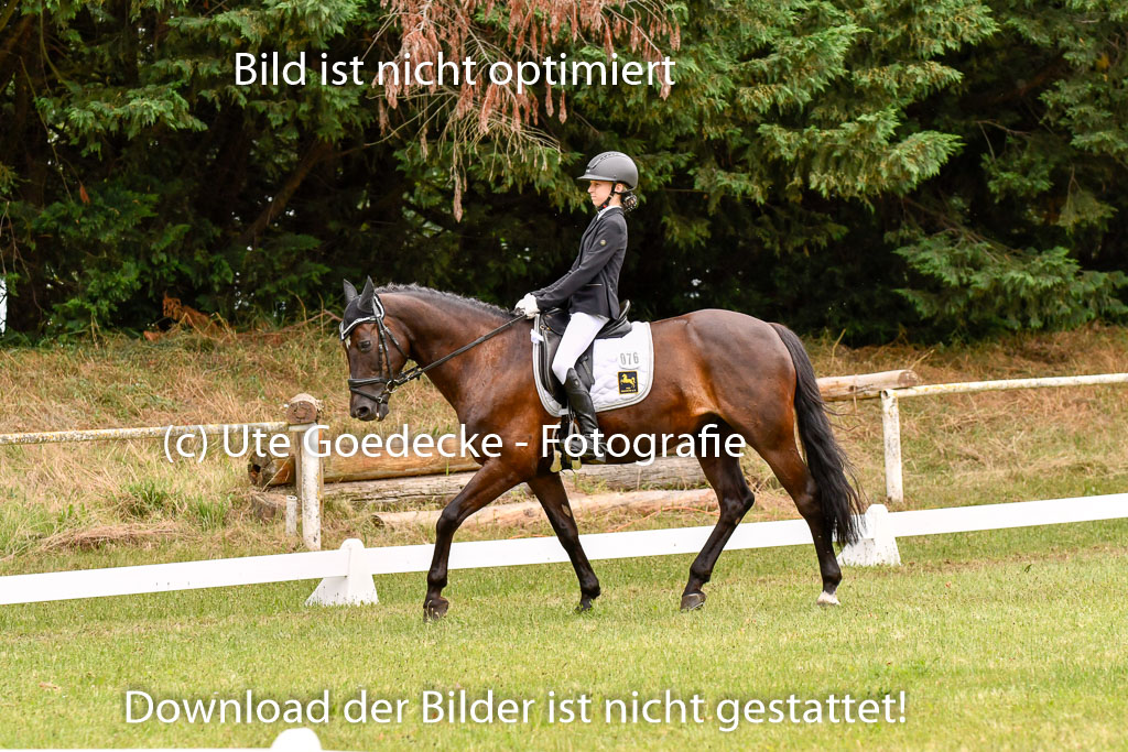 Goldene Schärpe Ponys in Hohenberg Krusemark 2024 | 12072024 Dressur _1059 