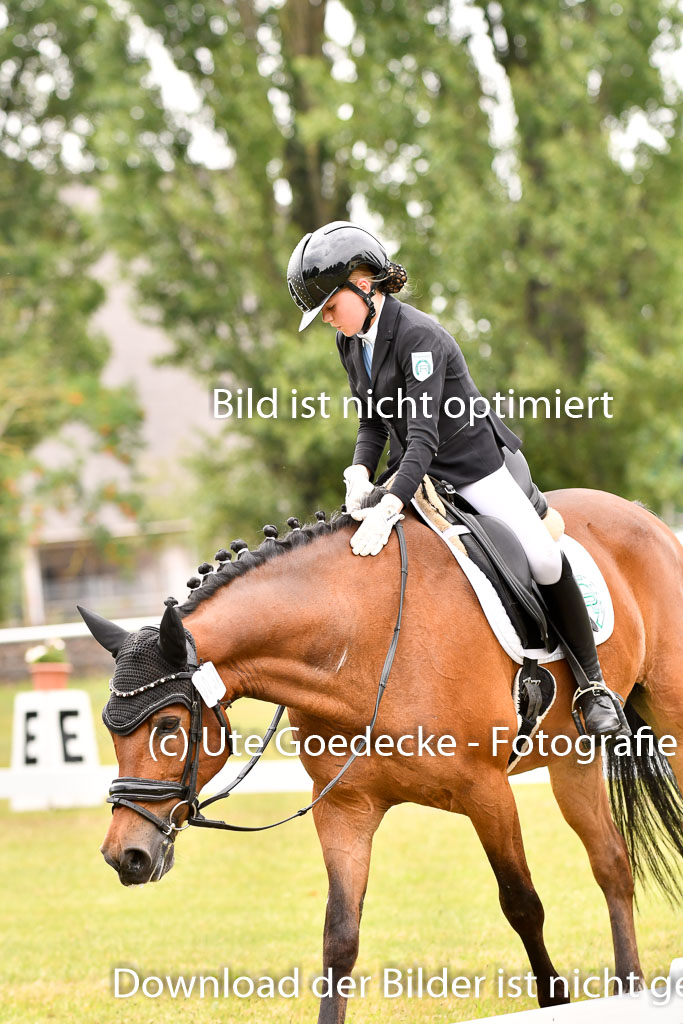 Goldene Schärpe Ponys in Hohenberg Krusemark 2024 | 12072024 Dressur _1062 