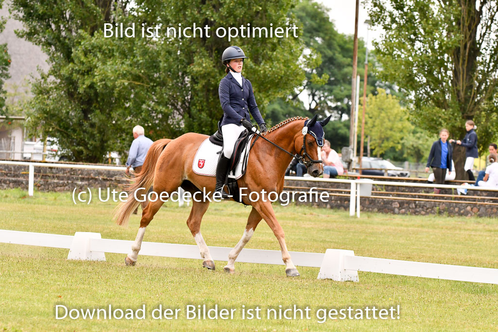 Goldene Schärpe Ponys in Hohenberg Krusemark 2024 | 12072024 Dressur _1063 