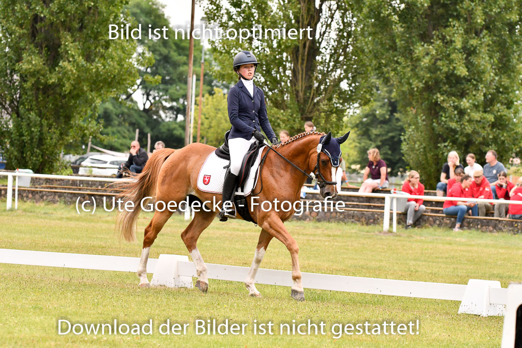 Goldene Schärpe Ponys in Hohenberg Krusemark 2024 | 12072024 Dressur _1064 