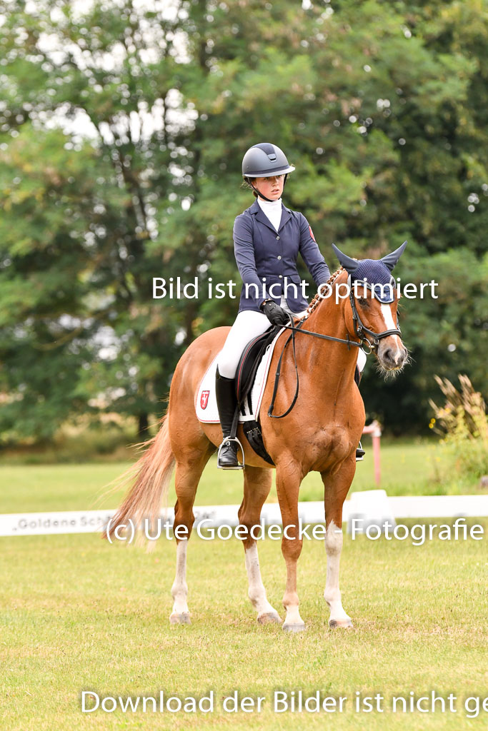 Goldene Schärpe Ponys in Hohenberg Krusemark 2024 | 12072024 Dressur _1066 