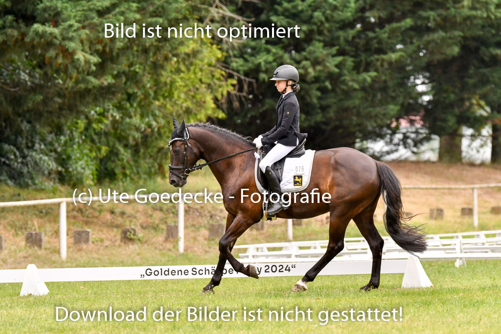 Goldene Schärpe Ponys in Hohenberg Krusemark 2024 | 12072024 Dressur _1067 